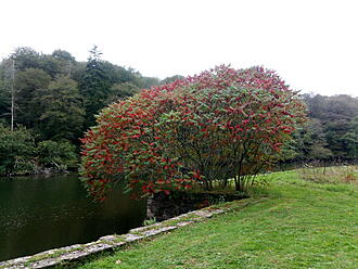 Cliquez sur l'image pour la voir en taille réelle 

Nom : 		IMG_20171008_175104.jpg 
Affichages :	1 
Taille :		93,2 Ko 
ID : 			402208