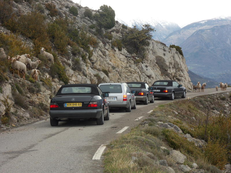 Cliquez sur l'image pour la voir en taille réelle 

Nom : 		SDC10107.jpg 
Affichages :	1 
Taille :		94,9 Ko 
ID : 			397763