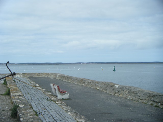 Cliquez sur l'image pour la voir en taille réelle 

Nom : 		sortie bassin arcachon 024.jpg 
Affichages :	1 
Taille :		64,4 Ko 
ID : 			448918