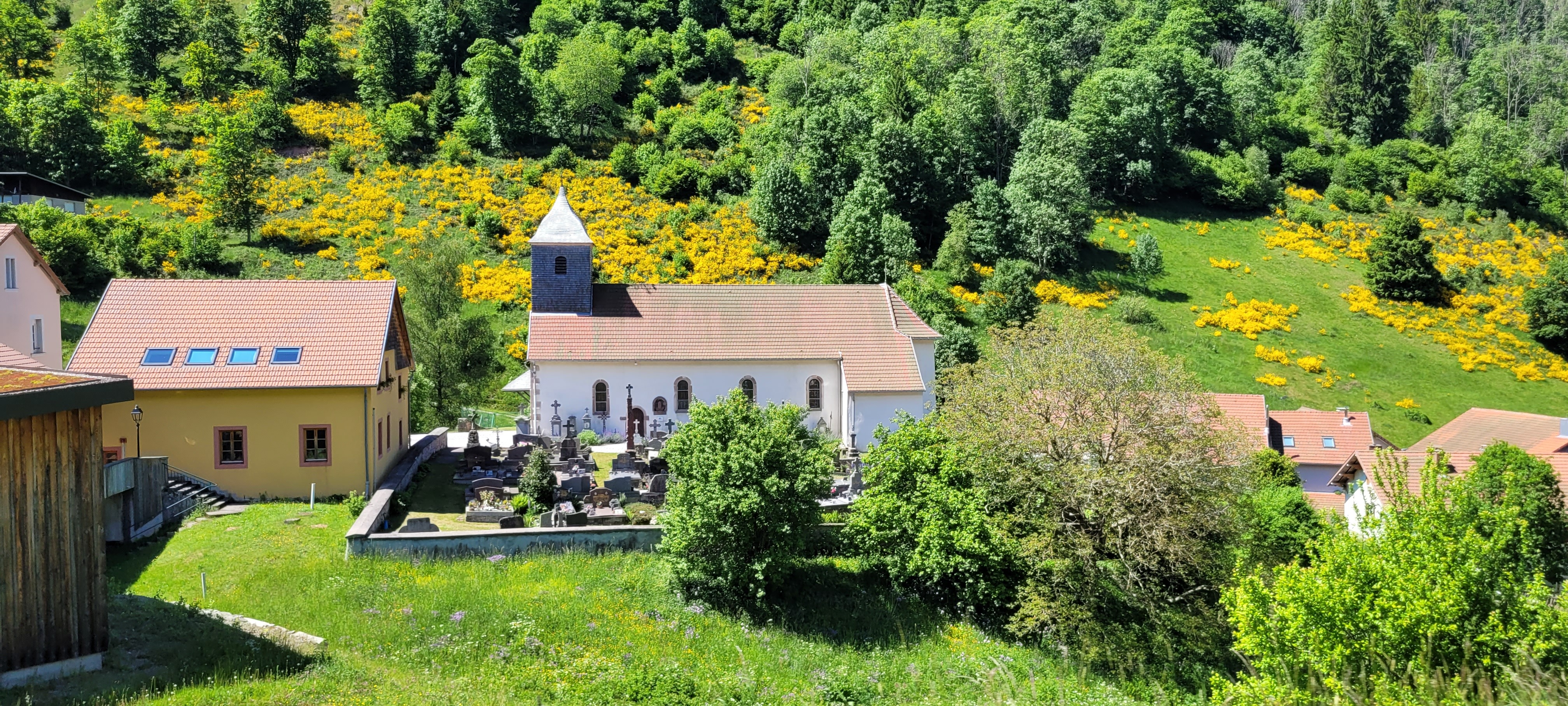 Cliquez sur l'image pour la voir en taille réelle 

Nom : 		20250530_150850.jpg 
Affichages :	86 
Taille :		3,00 Mo 
ID : 			495014