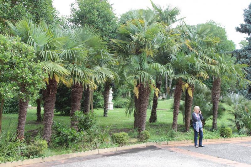 Cliquez sur l'image pour la voir en taille réelle&nbsp;

Nom : 		1805-8839.jpg&nbsp;
Affichages :	1&nbsp;
Taille :		105,3 Ko&nbsp;
ID : 			407358