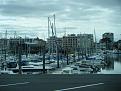 Cliquez sur l'image pour la voir en taille réelle 

Nom : 		sortie bassin arcachon 029.jpg 
Affichages :	91 
Taille :		88,4 Ko 
ID : 			448946